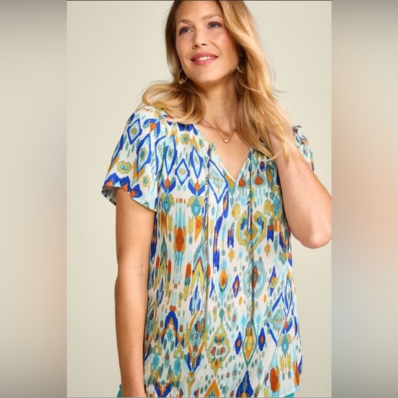 Soft Surroundings Gauzy Multicolor Francesca Clip Dot Ikat Metallic‎ Blouse - Picture 1 of 9